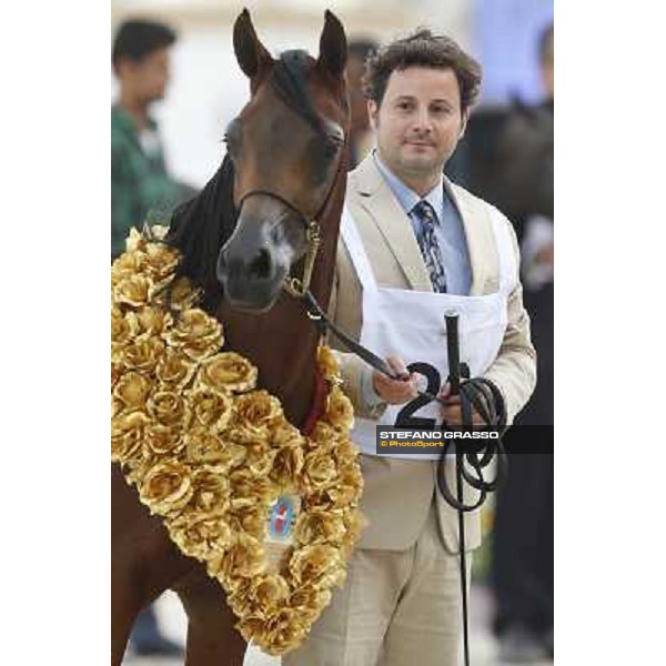 24th Qatar International Arabian Horse Show - Portraits at the Finals Doha,21th febr.2015 ph.Stefano Grasso