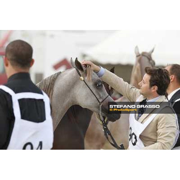 24th Qatar International Arabian Horse Show - Portraits at the Finals Doha,21th febr.2015 ph.Stefano Grasso
