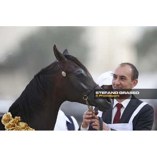24th Qatar International Arabian Horse Show - Portraits at the Finals Doha,21th febr.2015 ph.Stefano Grasso