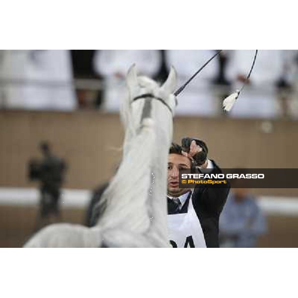 24th Qatar International Arabian Horse Show - Portraits at the Finals Doha,21th febr.2015 ph.Stefano Grasso