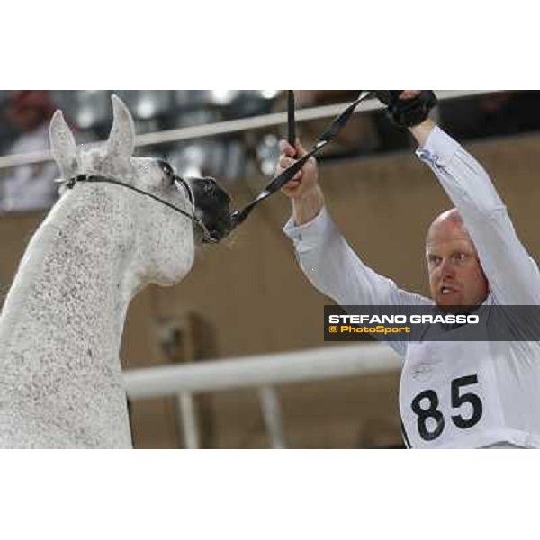 24th Qatar International Arabian Horse Show - Portraits at the Finals Doha,21th febr.2015 ph.Stefano Grasso