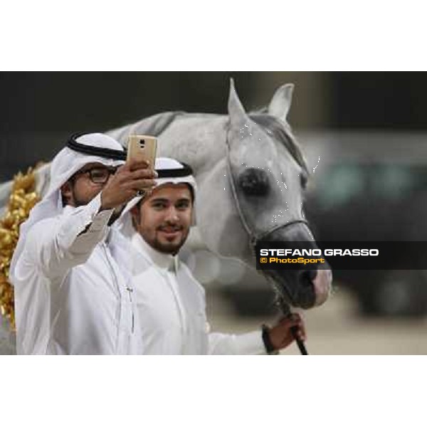24th Qatar International Arabian Horse Show - Portraits at the Finals Doha,21th febr.2015 ph.Stefano Grasso