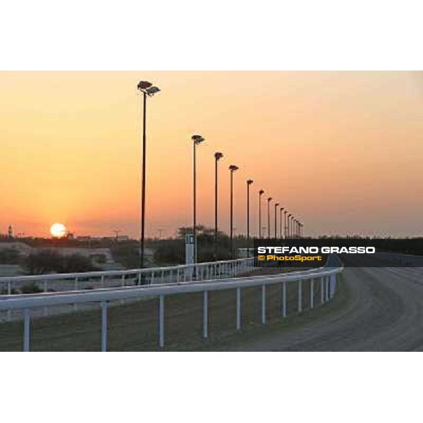 a morning at Al Shahania Stud Doha,23rd february 2015 ph.Stefano Grasso