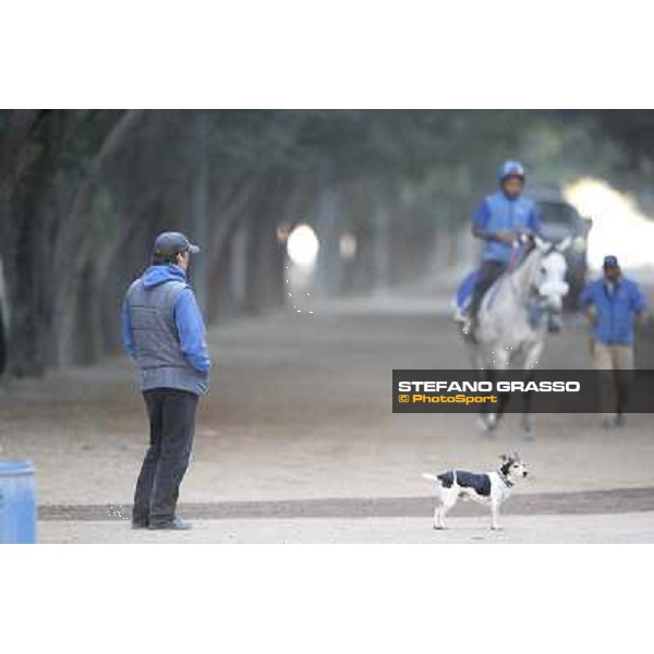 a morning at Al Shahania Stud Doha,23rd february 2015 ph.Stefano Grasso