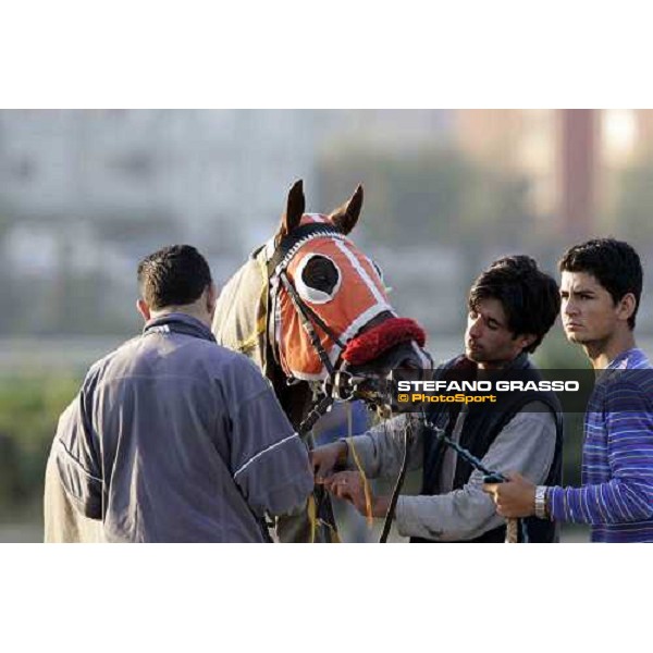 Veliefendi racetrack Istanbul, 9th sept.2005 ph. Stefano Grasso