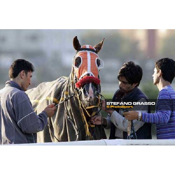 Veliefendi racetrack Istanbul, 9th sept.2005 ph. Stefano Grasso