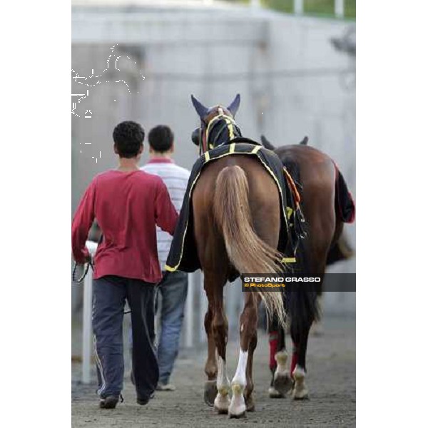 Veliefendi racetrack Istanbul, 9th sept.2005 ph. Stefano Grasso