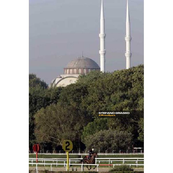 Veliefendi racetrack Istanbul, 9th sept.2005 ph. Stefano Grasso