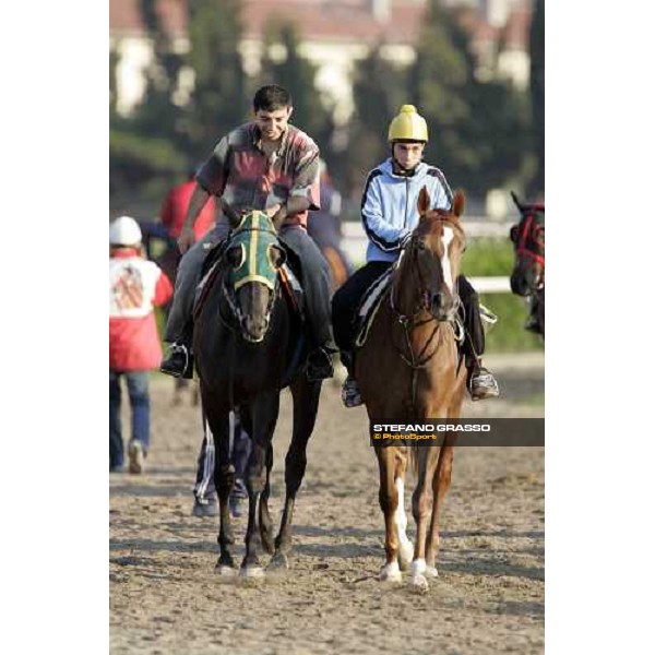 Veliefendi racetrack Istanbul, 9th sept.2005 ph. Stefano Grasso