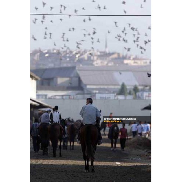 Veliefendi racetrack Istanbul, 9th sept.2005 ph. Stefano Grasso