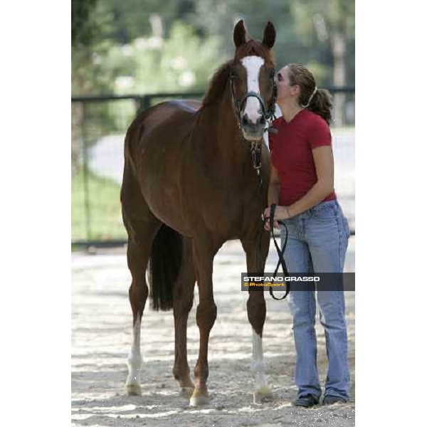 Rhodesian Winner Istanbul, 9th sept.2005 ph. Stefano Grasso