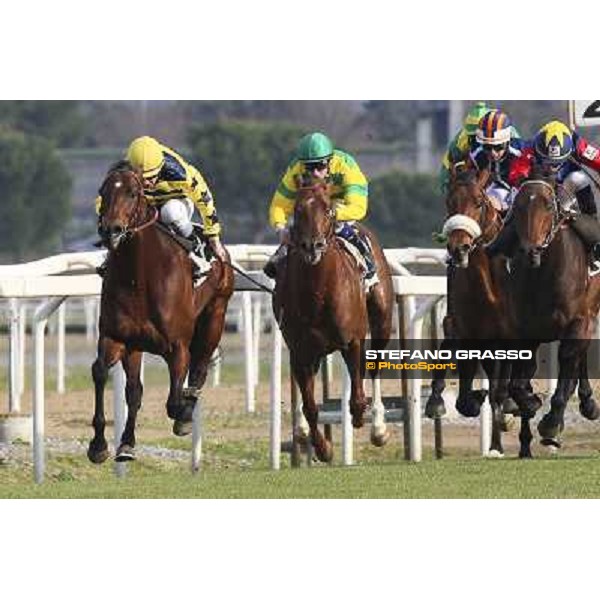 1 marzo 2015 ROMA -Ippodromo Capannellle Capannelle Premio Zafonic vince Luca Maniezzi su Passaggio photo Domenico Savi/GRASSO