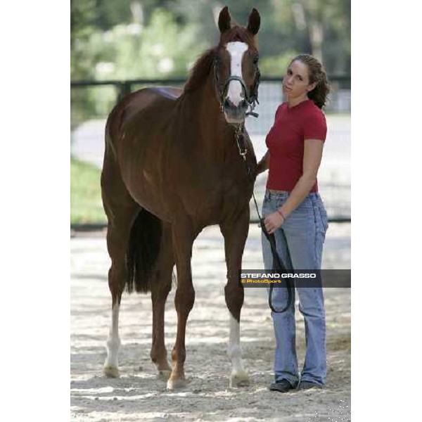 Rhodesian Winner Istanbul, 9th sept.2005 ph. Stefano Grasso