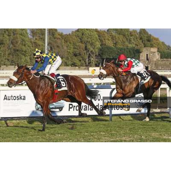 1 marzo 2015 ROMA -Ippodromo Capannellle Capannelle Premio Optional vinceFabio Branca su Now And Never photo Domenico Savi/GRASSO
