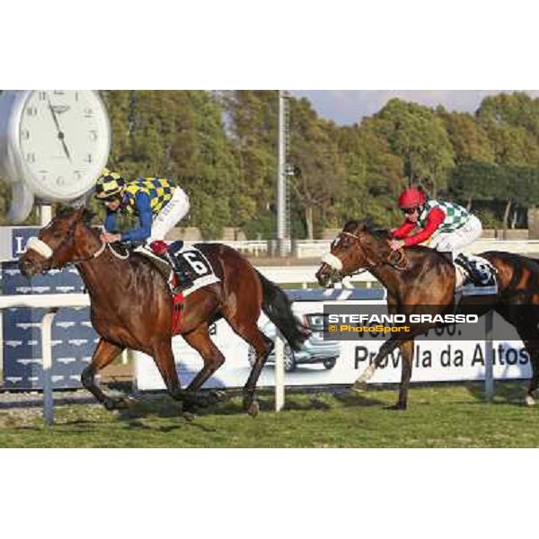 1 marzo 2015 ROMA -Ippodromo Capannellle Capannelle Premio Optional vinceFabio Branca su Now And Never photo Domenico Savi/GRASSO