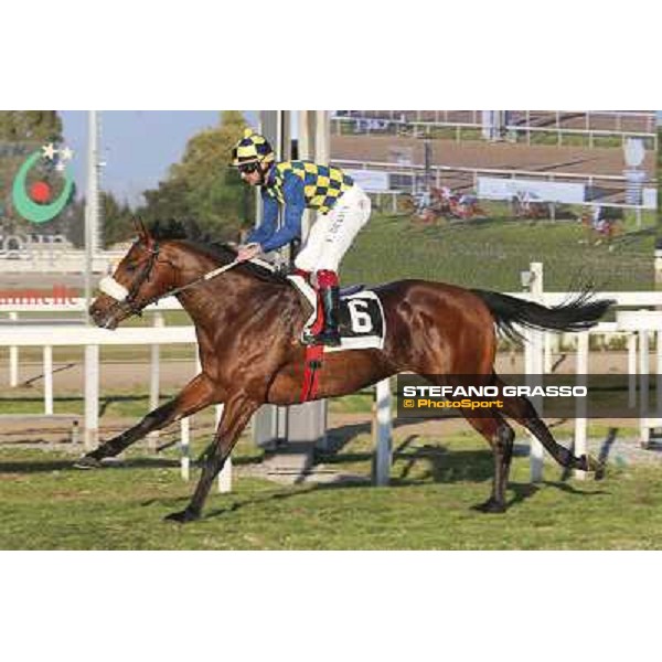 1 marzo 2015 ROMA -Ippodromo Capannellle Capannelle Premio Optional vinceFabio Branca su Now And Never photo Domenico Savi/GRASSO