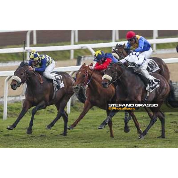 Roma Ippodromo Capannelle 15marzo 2015 Carlo Fiocchi su General Sherman vince il Premio Arconte photo domenico savi