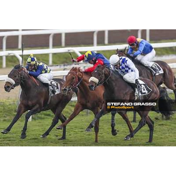 Roma Ippodromo Capannelle 15marzo 2015 Carlo Fiocchi su General Sherman vince il Premio Arconte photo domenico savi