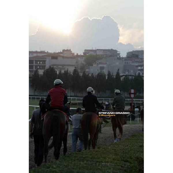 Veliefendi racetrack Istanbul, 9th sept.2005 ph. Stefano Grasso