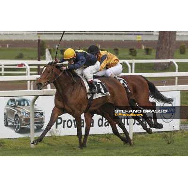 Roma 22 march 2015 Ippodromo delle Capannelle Premio Don II Giuseppe Ercegovic on Iole My Love ph. Domenico Savi