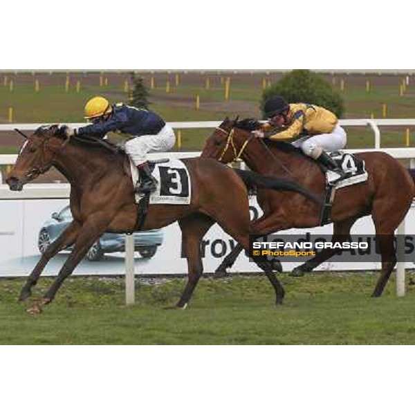 Roma 22 march 2015 Ippodromo delle Capannelle Premio Don II Giuseppe Ercegovic on Iole My Love ph. Domenico Savi