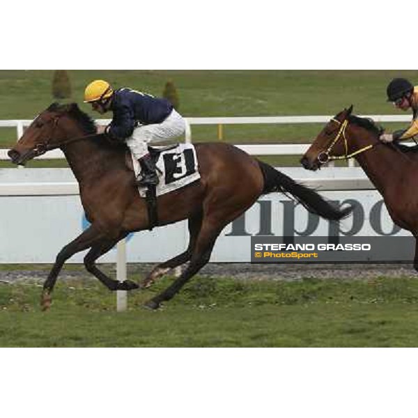 Roma 22 march 2015 Ippodromo delle Capannelle Premio Don II Giuseppe Ercegovic on Iole My Love ph. Domenico Savi