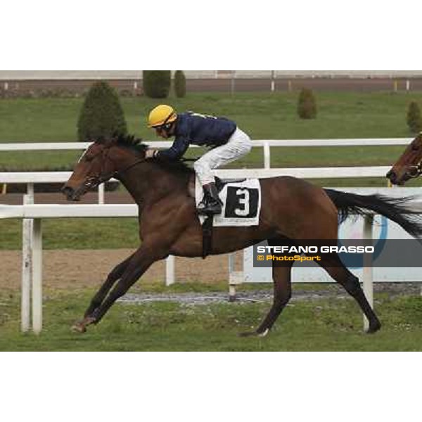 Roma 22 march 2015 Ippodromo delle Capannelle Premio Don II Giuseppe Ercegovic on Iole My Love ph. Domenico Savi