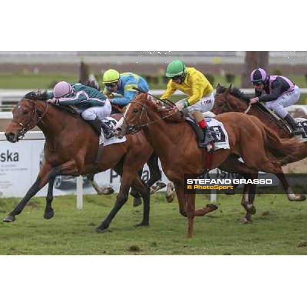 Roma 22 march 2015 Ippodromo delle Capannelle San Giuseppe Pasquale Borrelli on Fantastic Love ph. Domenico Savi