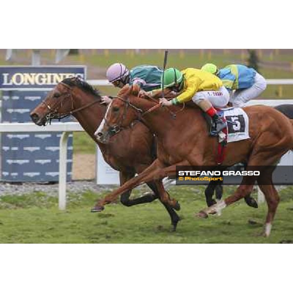 Roma 22 march 2015 Ippodromo delle Capannelle San Giuseppe Pasquale Borrelli on Fantastic Love ph. Domenico Savi