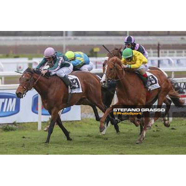 Roma 22 march 2015 Ippodromo delle Capannelle San Giuseppe Pasquale Borrelli on Fantastic Love ph. Domenico Savi