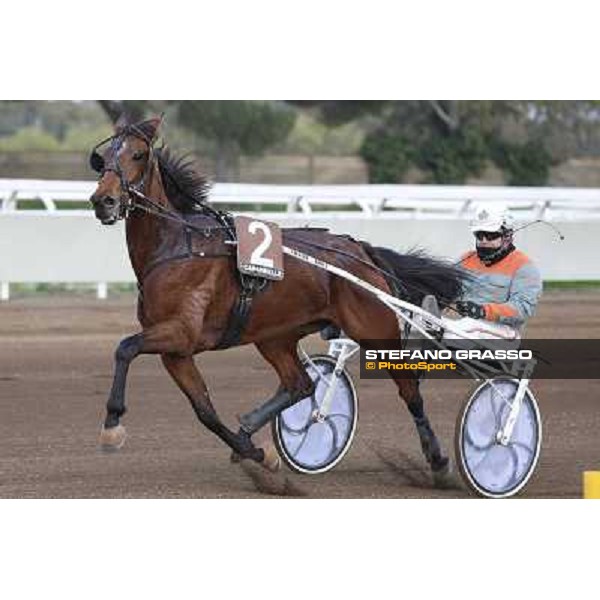 Roma Ippodromo Capannelle 21marzo 2015 Premio Tespi LB Saba Del Ronco Gennaro Casillo photo domenico savi