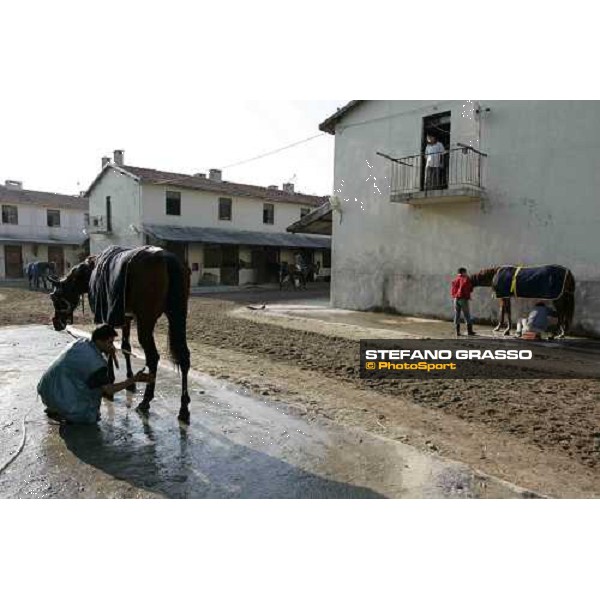 Veliefendi racetrack Istanbul, 9th sept.2005 ph. Stefano Grasso