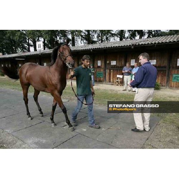 Selected Yearling sales - John Ferguson Milano, 23rd september 2005 ph. Stefano Grasso