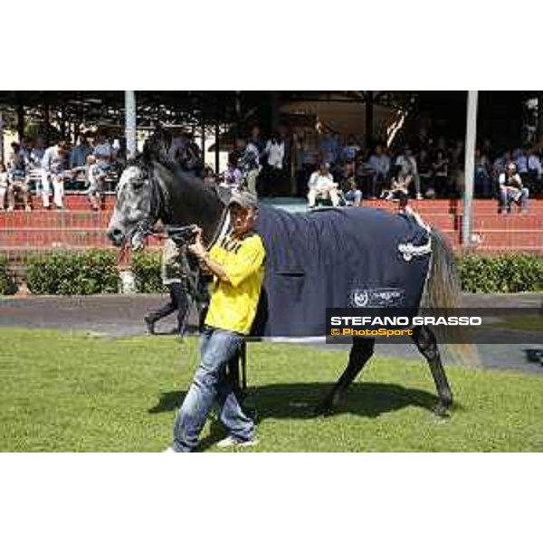 Premio Longines Fegentri Champions For Lady Riders Anna Lupinacci - Carolwood Drive Rome,Capannelle racecourse 17th may 2015 ph.Stefano Grasso