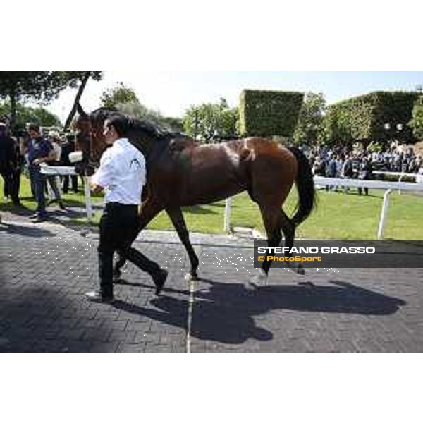 Premio Carlo D\'Alessio Dylan Mouth Rome,Capannelle racecourse 17th may 2015 ph.Stefano Grasso