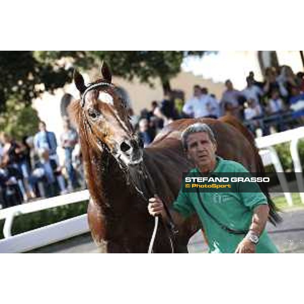 Falest - Premio Tudini Rome,Capannelle racecourse 17th may 2015 ph.Stefano Grasso