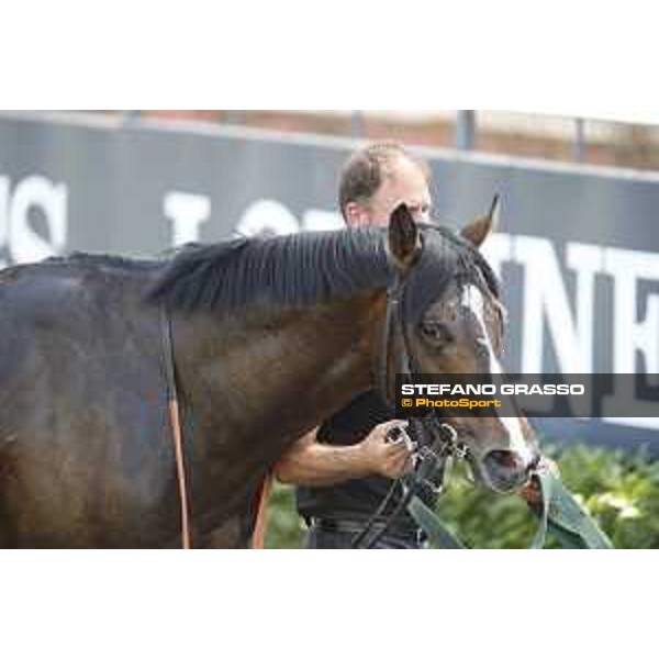 Premio Dionisia Giacalmarbar Rome,Capannelle racecourse 17th may 2015 ph.Stefano Grasso