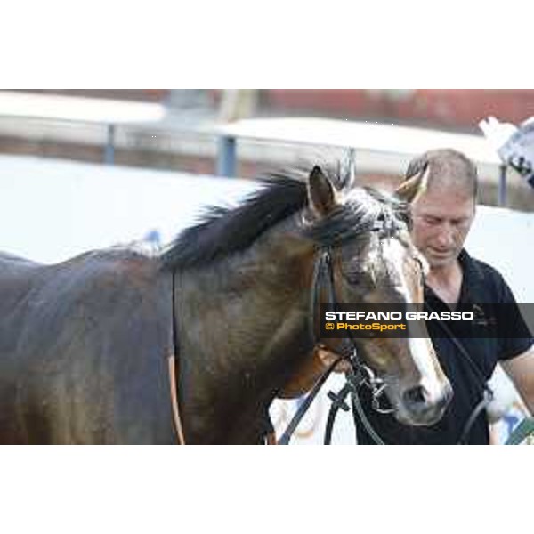 Premio Dionisia Giacalmarbar Rome,Capannelle racecourse 17th may 2015 ph.Stefano Grasso