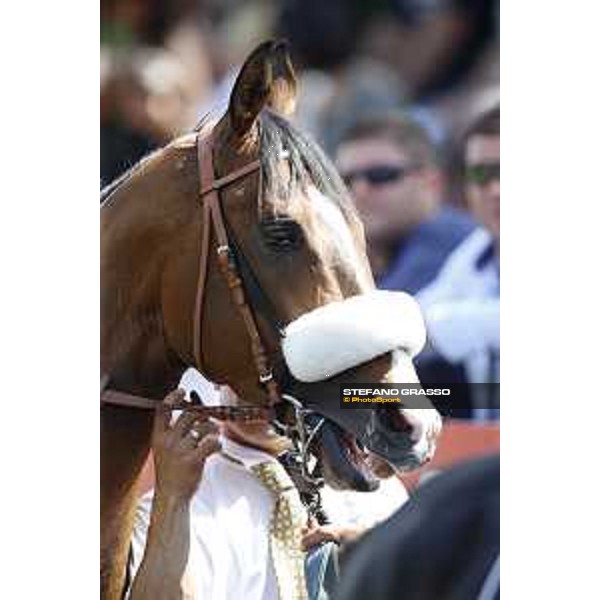 Premio Carlo D\'Alessio Dylan Mouth Rome,Capannelle racecourse 17th may 2015 ph.Stefano Grasso