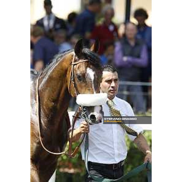 Premio Carlo D\'Alessio Dylan Mouth Rome,Capannelle racecourse 17th may 2015 ph.Stefano Grasso