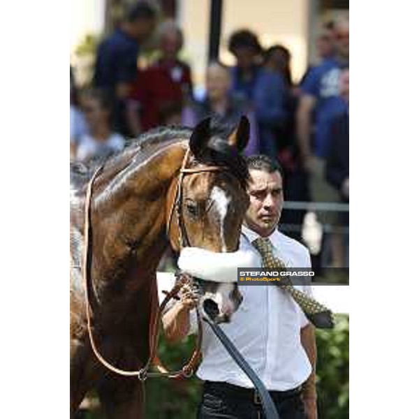Premio Carlo D\'Alessio Dylan Mouth Rome,Capannelle racecourse 17th may 2015 ph.Stefano Grasso