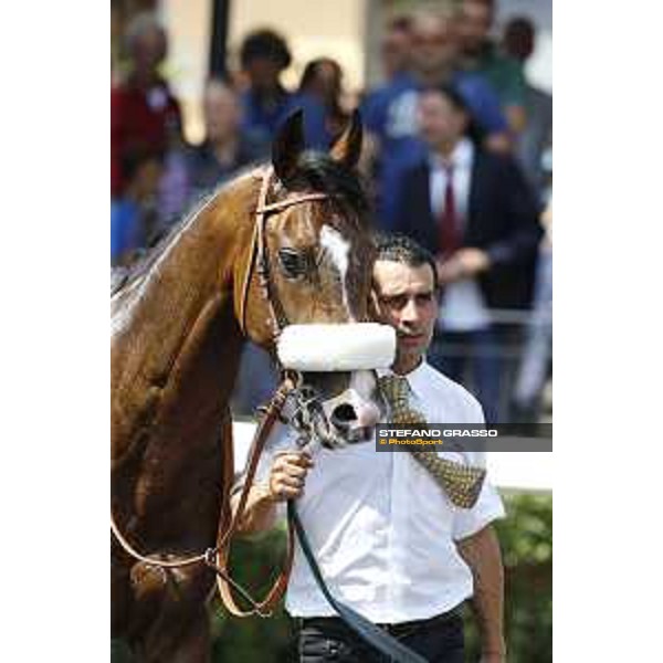 Premio Carlo D\'Alessio Dylan Mouth Rome,Capannelle racecourse 17th may 2015 ph.Stefano Grasso