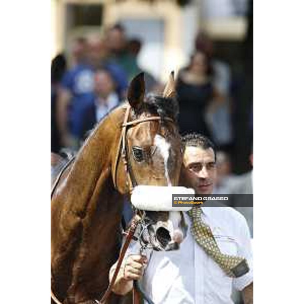 Premio Carlo D\'Alessio Dylan Mouth Rome,Capannelle racecourse 17th may 2015 ph.Stefano Grasso