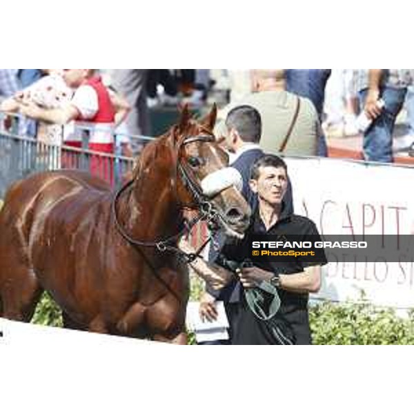 Premio Mauro Sbarigia Circus Couture Rome,Capannelle racecourse 17th may 2015 ph.Stefano Grasso