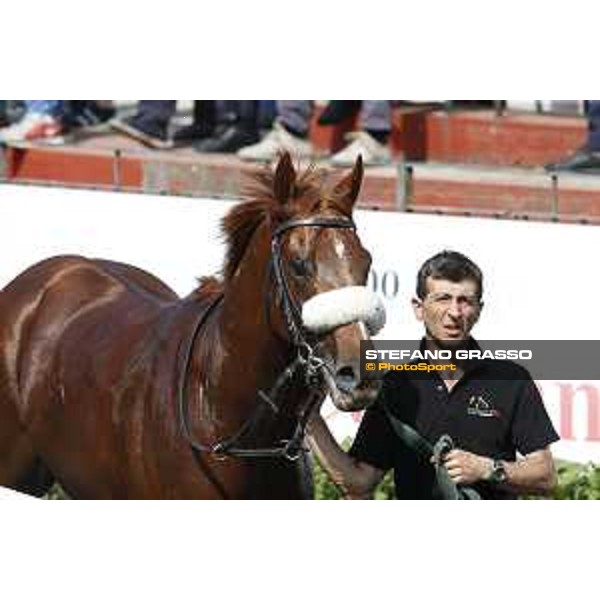 Premio Mauro Sbarigia Circus Couture Rome,Capannelle racecourse 17th may 2015 ph.Stefano Grasso