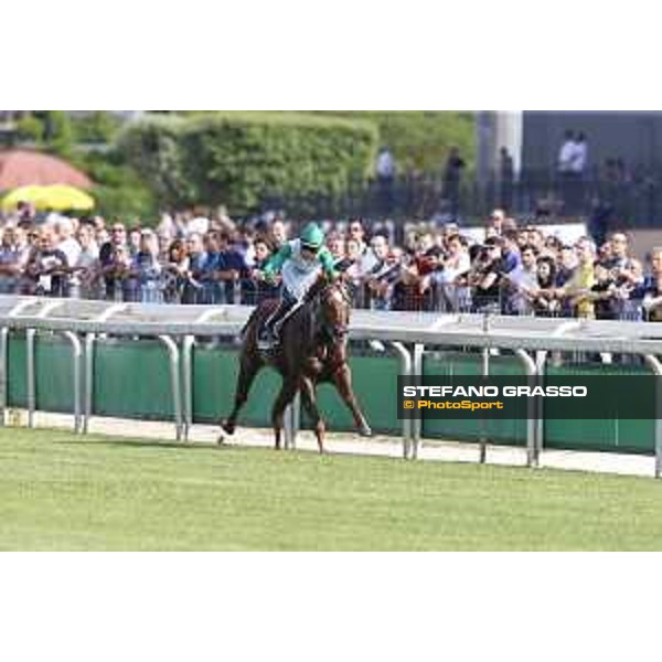 Premio Tudini Federico Bossa on Falest Rome,Capannelle racecourse 17th may 2015 ph.Stefano Grasso