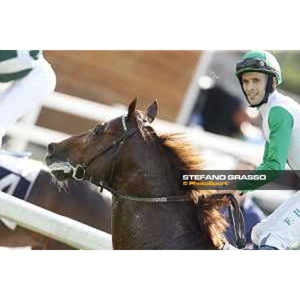 Premio Tudini Federico Bossa on Falest Rome,Capannelle racecourse 17th may 2015 ph.Stefano Grasso