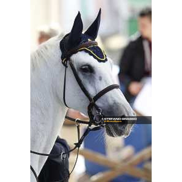 Loro Piana Grand Prix City of Rome Loro Piana Canada Roma- Villa Borghese,24th may 2015 ph.Stefano Grasso/Loro Piana