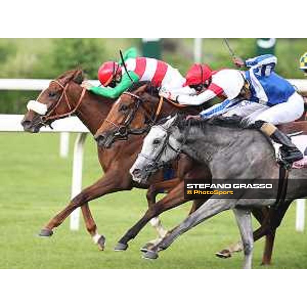 Lovelyn (middle) wins the Oaks d\'Italia - 2nd dead heath Joyful Hope and Full of Beauty - Milano - San Siro galopp racecourse,31st may 2015 - ph.Stefano Grasso/Trenno srl