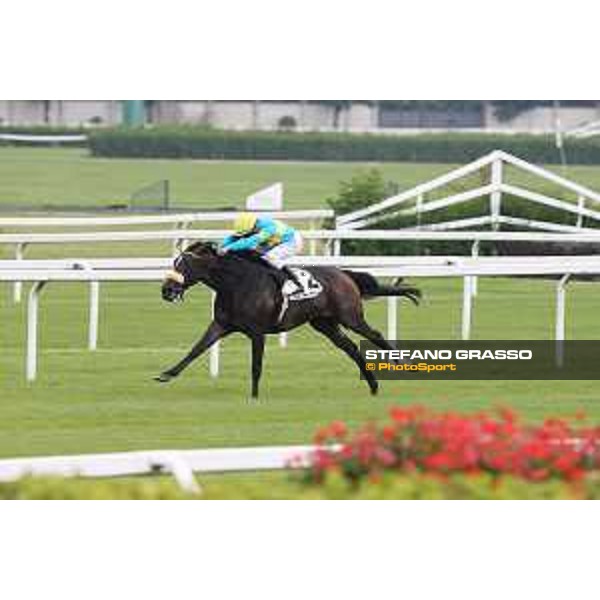 Dario Vargiu on Finidaprest wins the Premio Giovanni Miliani Milano - San Siro galopp racecourse,31st may 2015 ph.Stefano Grasso/Trenno srl